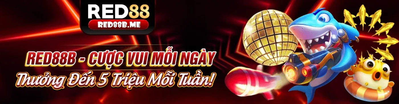 Hình ảnh banner chính trang chủ chính thức VND555