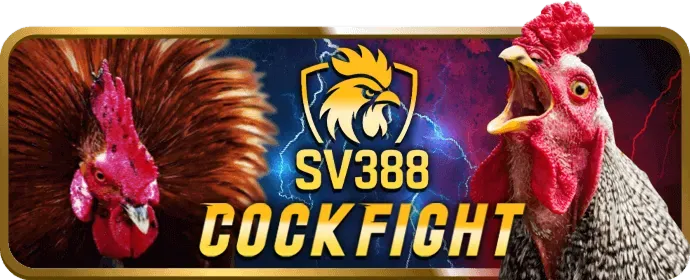 Trò chơi Blackjack tại vnd555