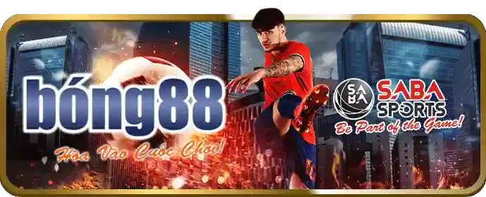 Cá cược bóng đá trên vnd555